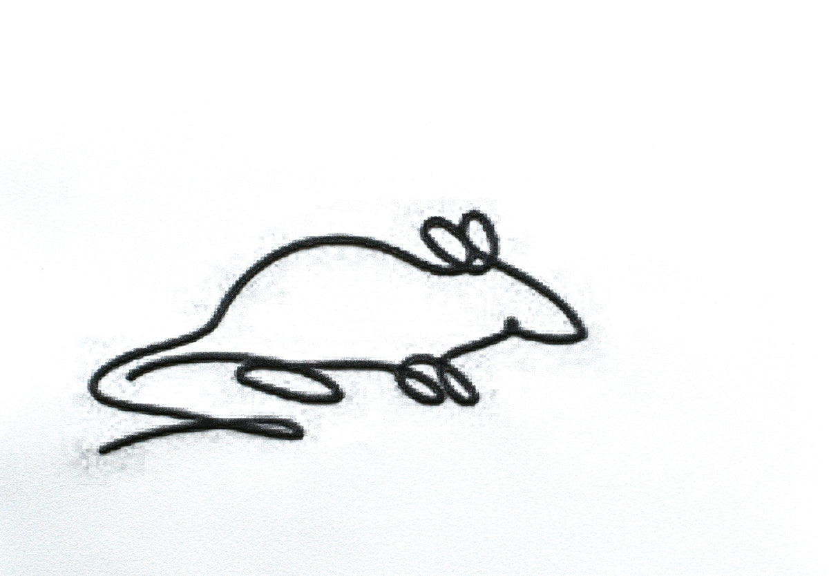 Rat