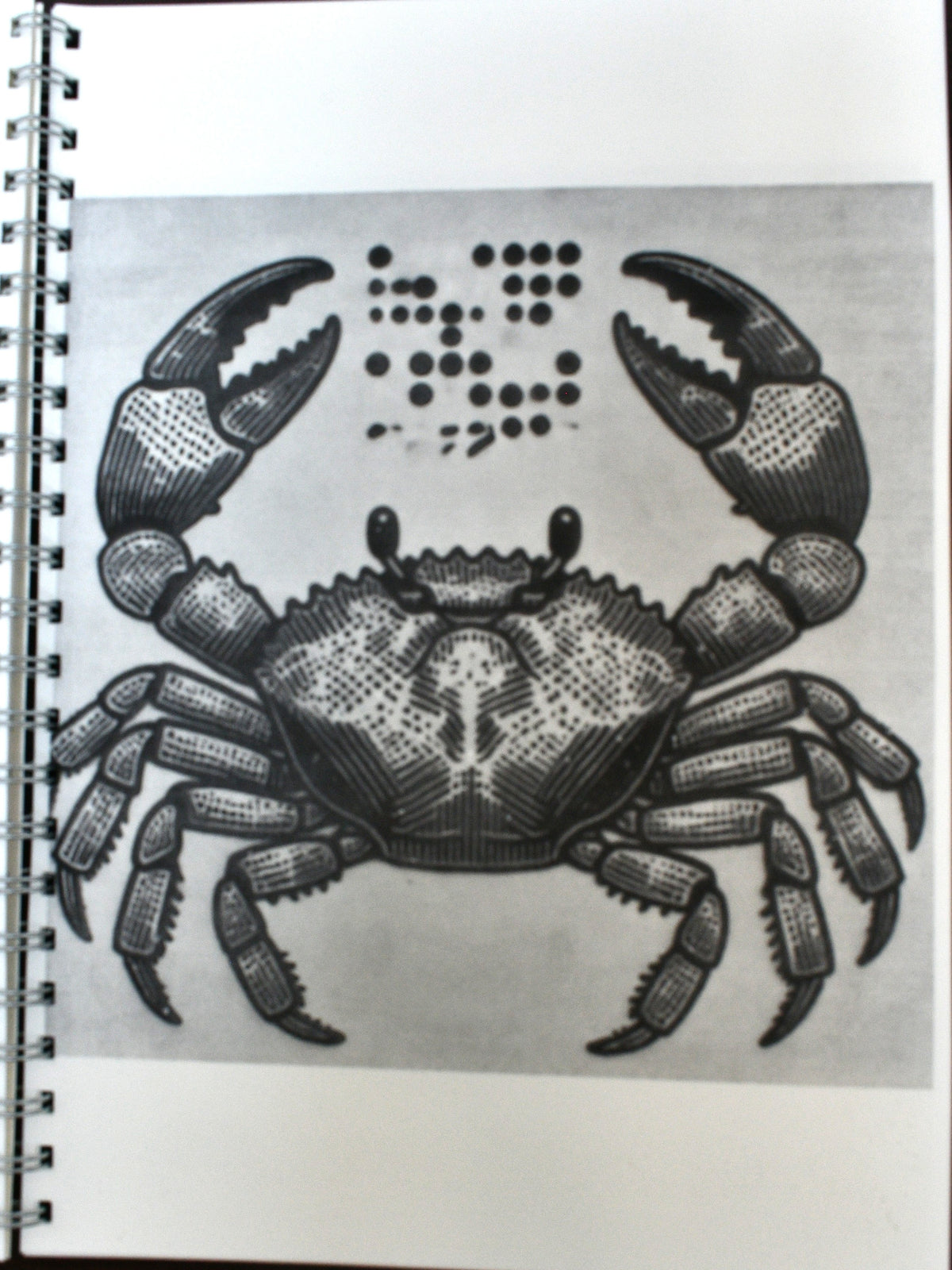 Braille Touch to See - Creatures in the Sea