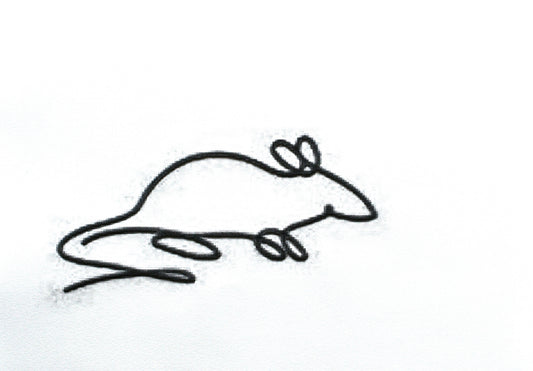 Rat