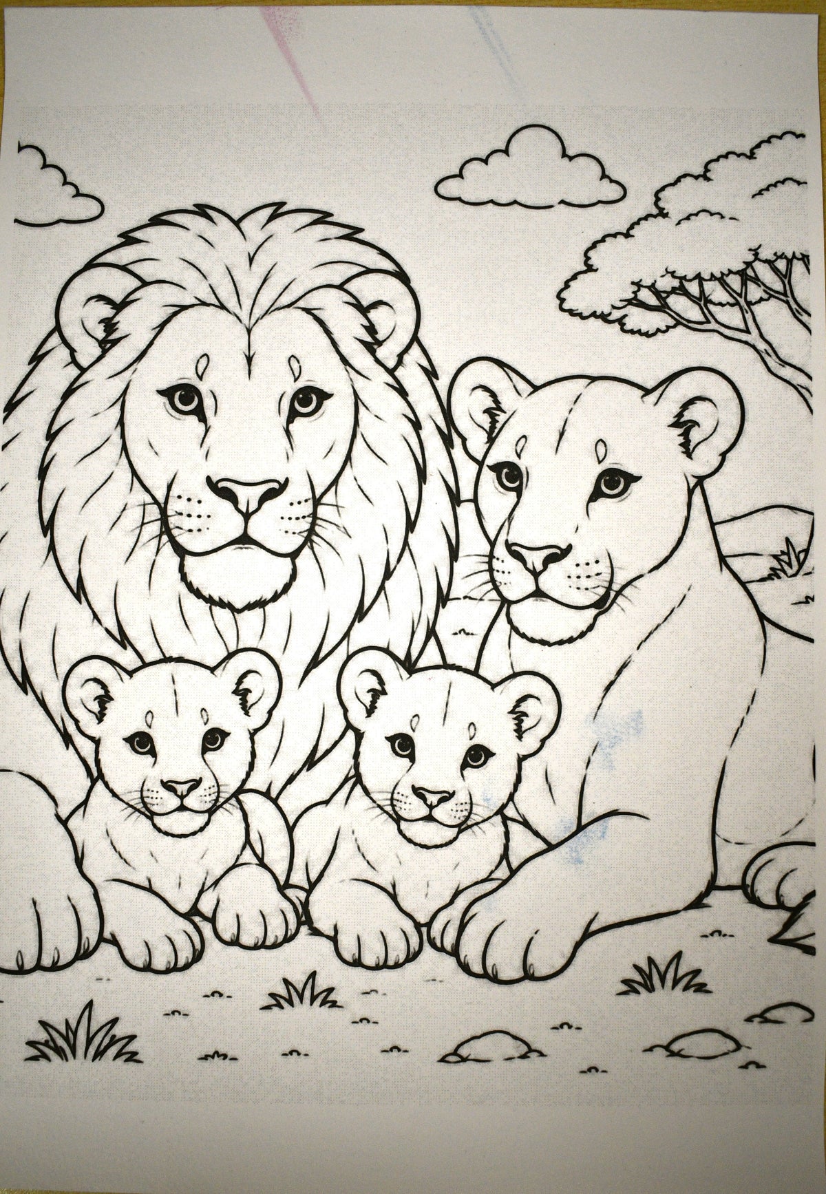 Braille Touch to See - Wild Animal Families