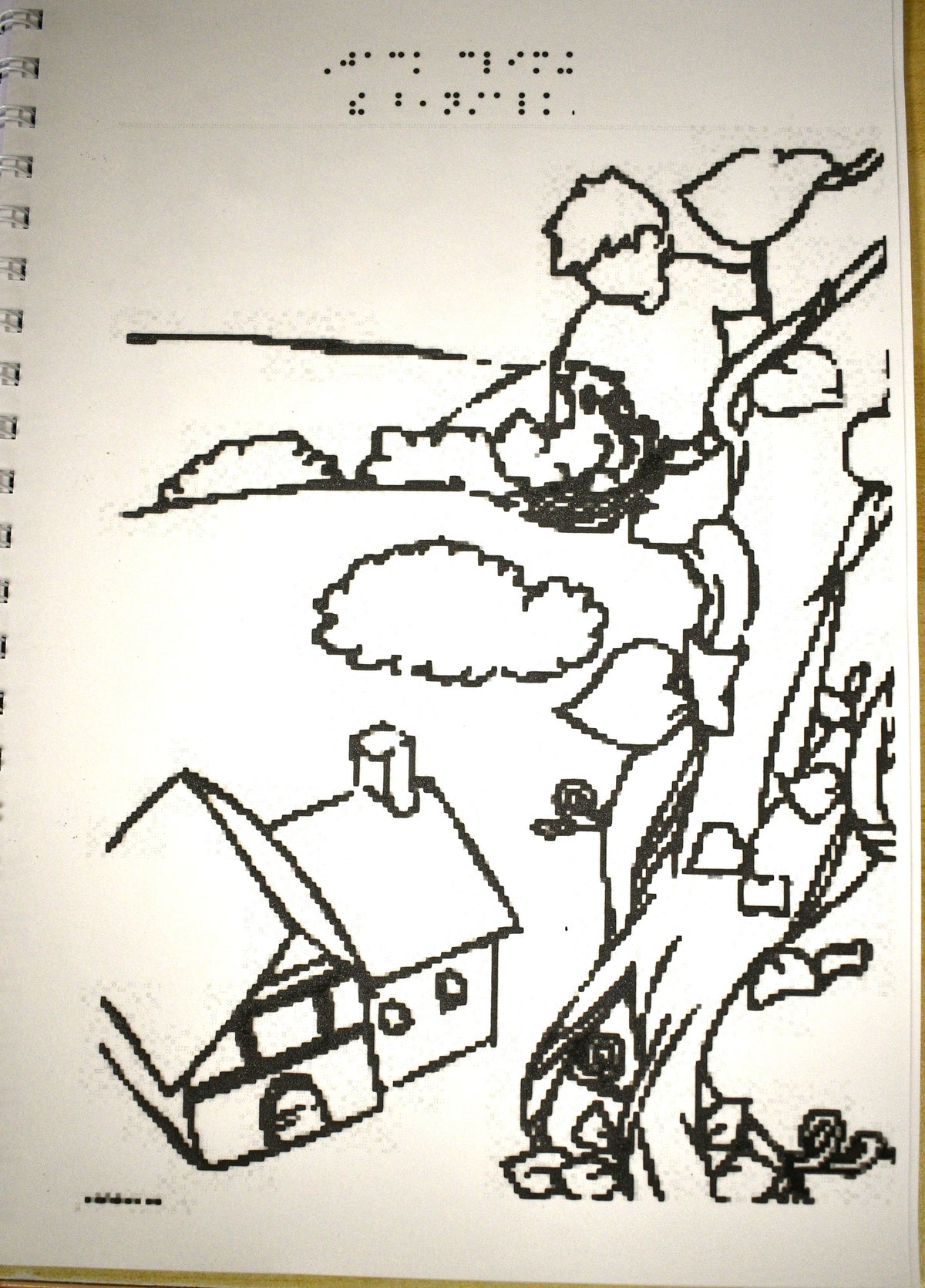 Jack and The Beanstalk