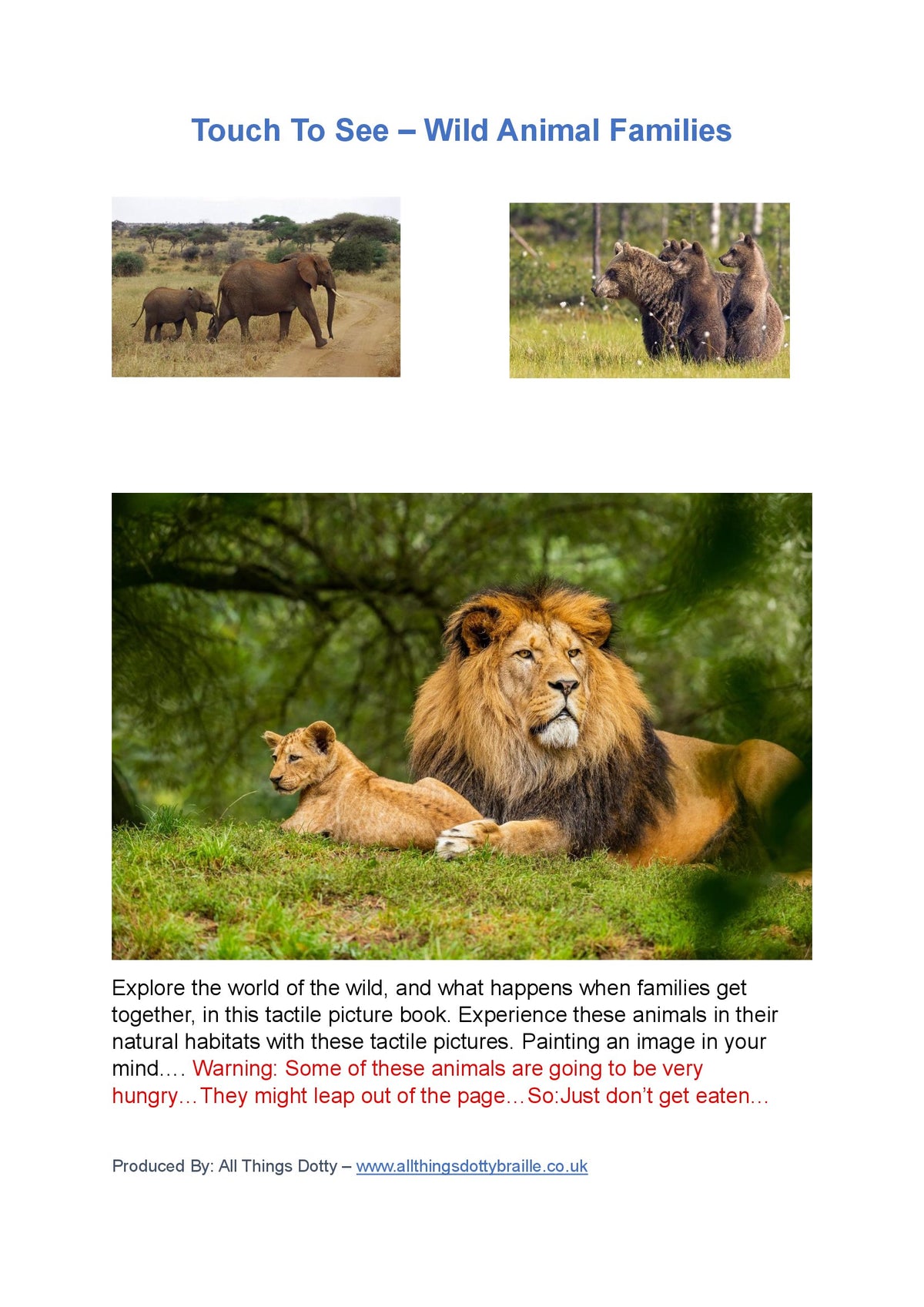Braille Touch to See - Wild Animal Families