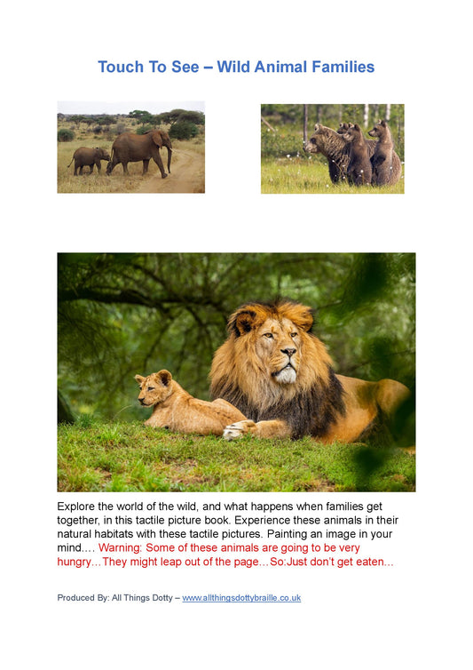 Braille Touch to See - Wild Animal Families